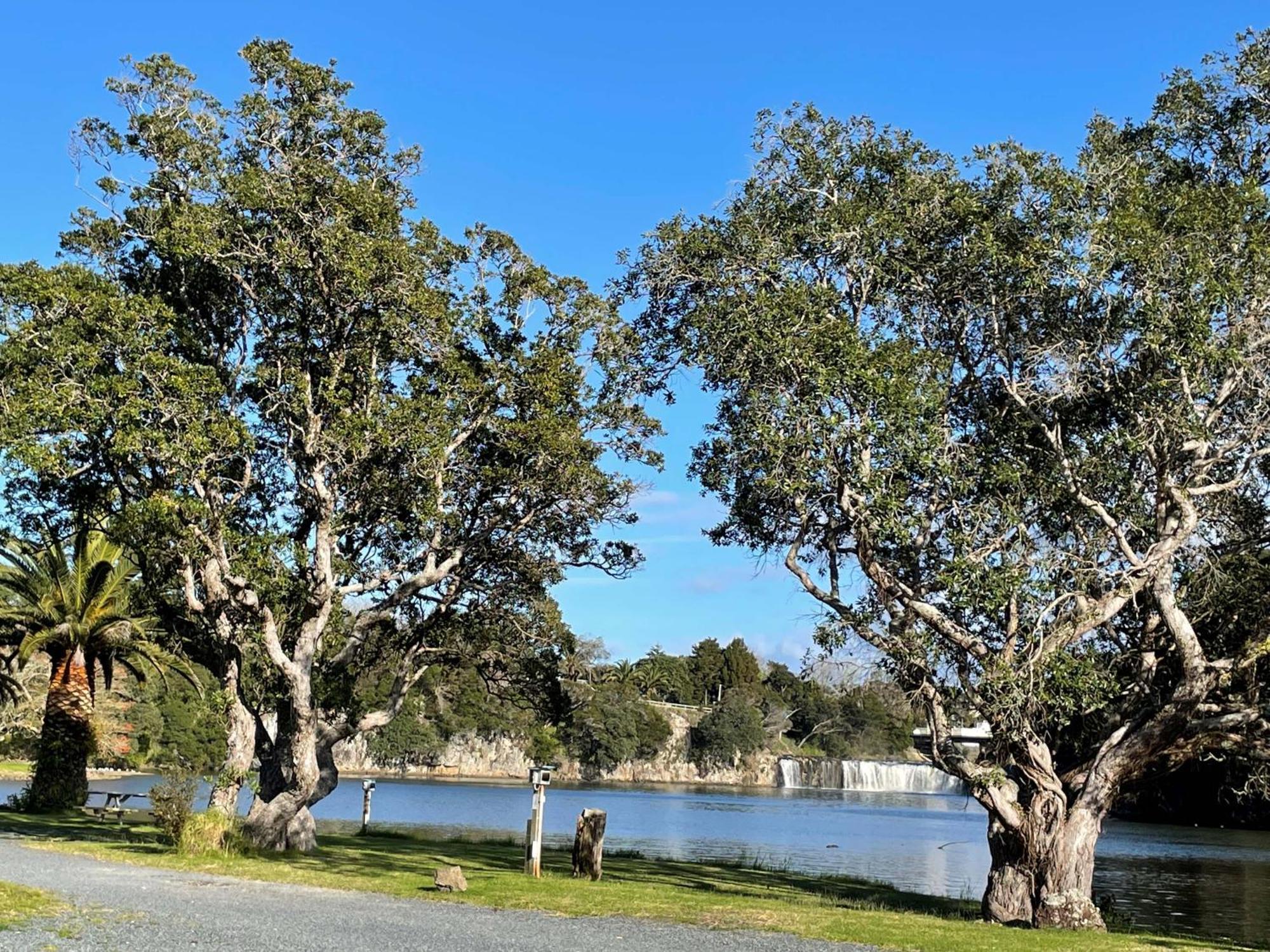 Haruru Falls Motel & Conference Centre Paihia Εξωτερικό φωτογραφία